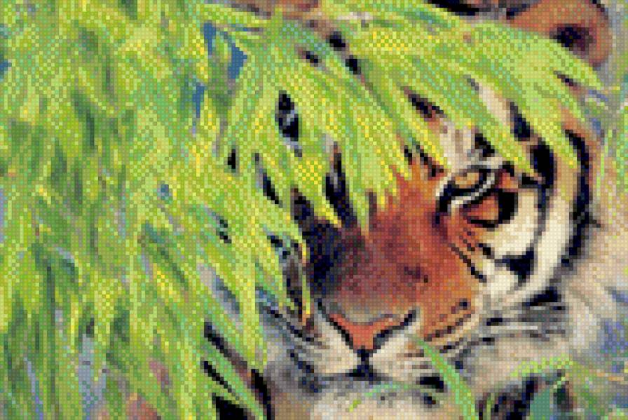тигр в траве - тигр, хищник, животные - предпросмотр