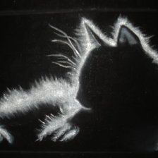 Оригинал схемы вышивки «черный кот» (№477096)