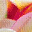 Предпросмотр схемы вышивки «Цветы плюмерии» (№477191)