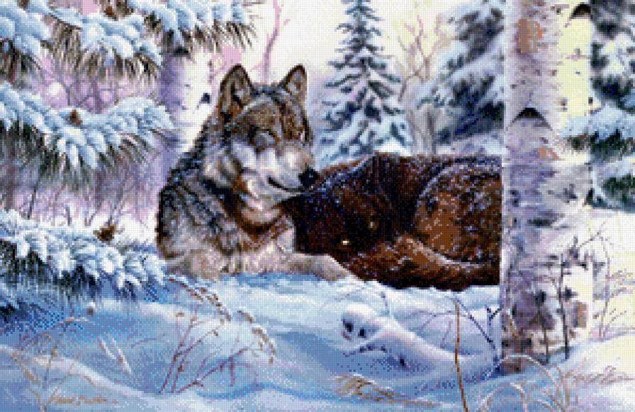Серия "Волки" - волки, зима, пейзаж, снег, животные - предпросмотр