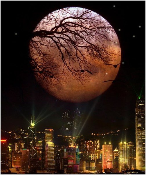Ночь тьмы - ночь, луна, природа, город - оригинал