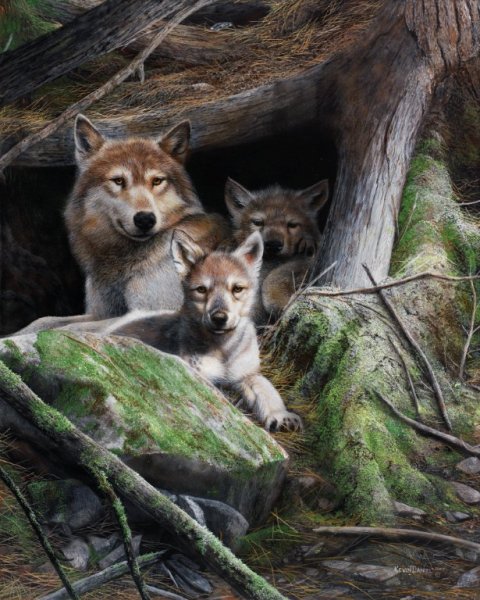волчица с волченком - животные, природа, лес, волки - оригинал