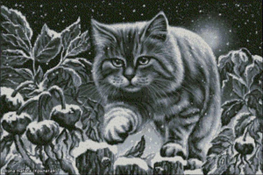 котик - зима, животные, кот, природа - предпросмотр