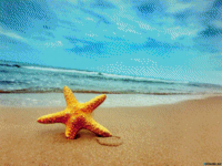 Морская звезда - море, лето, отдых - предпросмотр