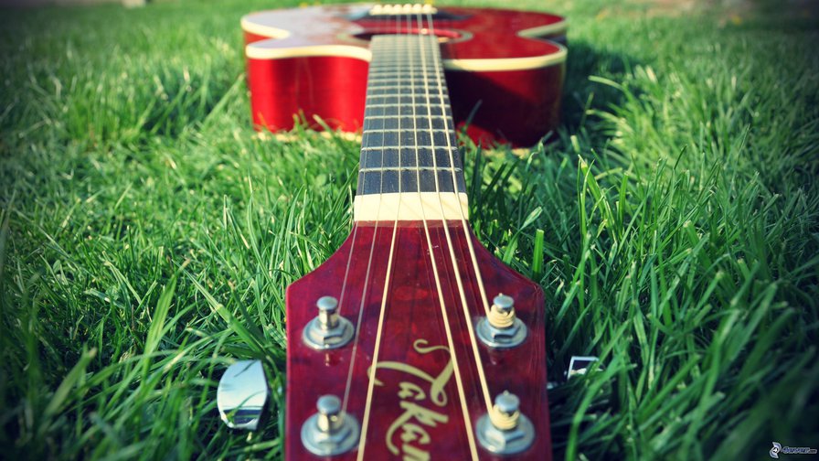 Гитара - трава, гитара, музыка - оригинал