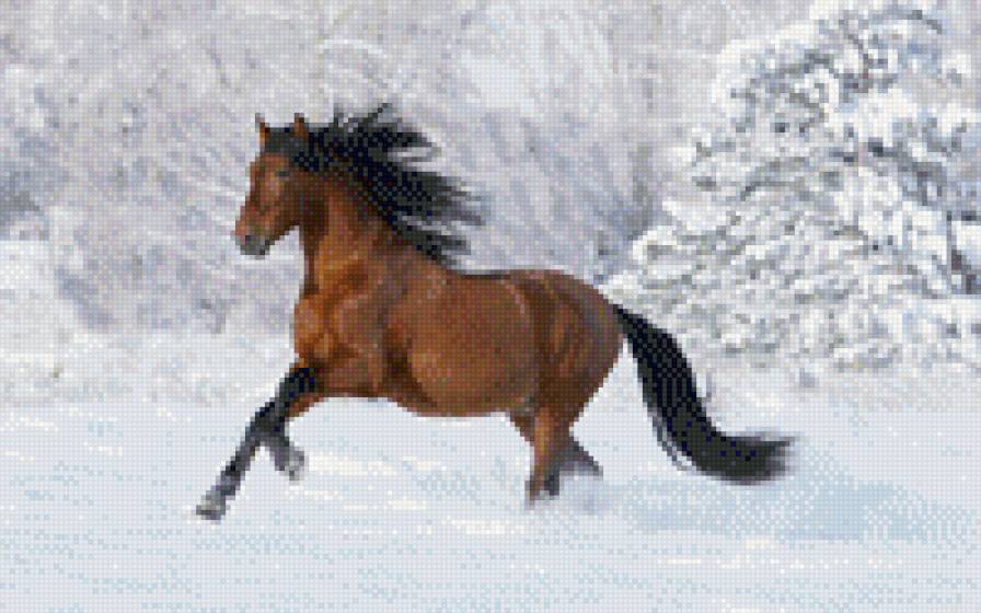 Лошадь на снегу - лошадь, лес, снег, зима - предпросмотр