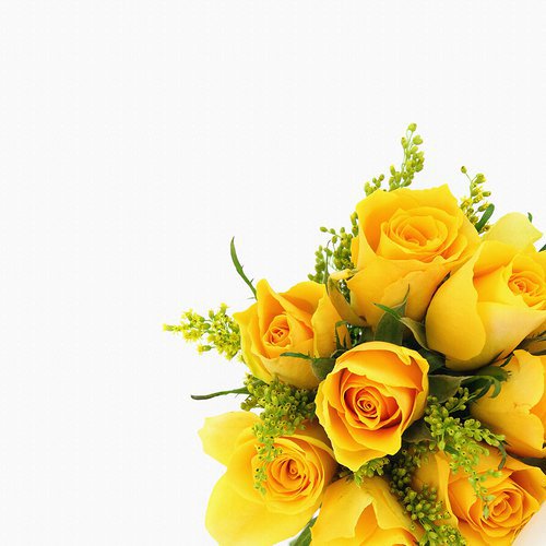 Роза - подушка, розы, букет, цветы - оригинал
