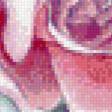 Предпросмотр схемы вышивки «Роза» (№478111)