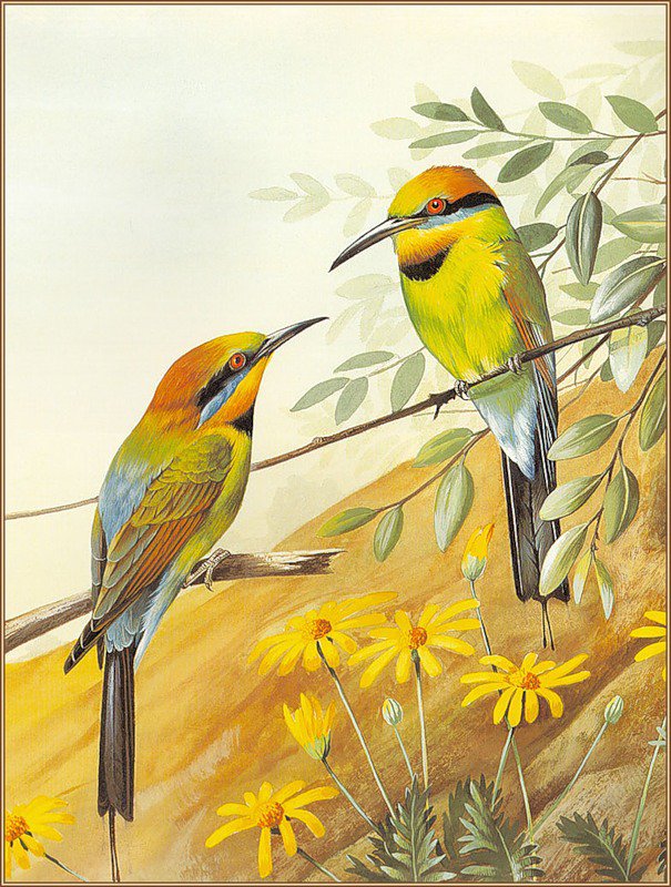 Серия "Птицы" - цветы, птицы - оригинал