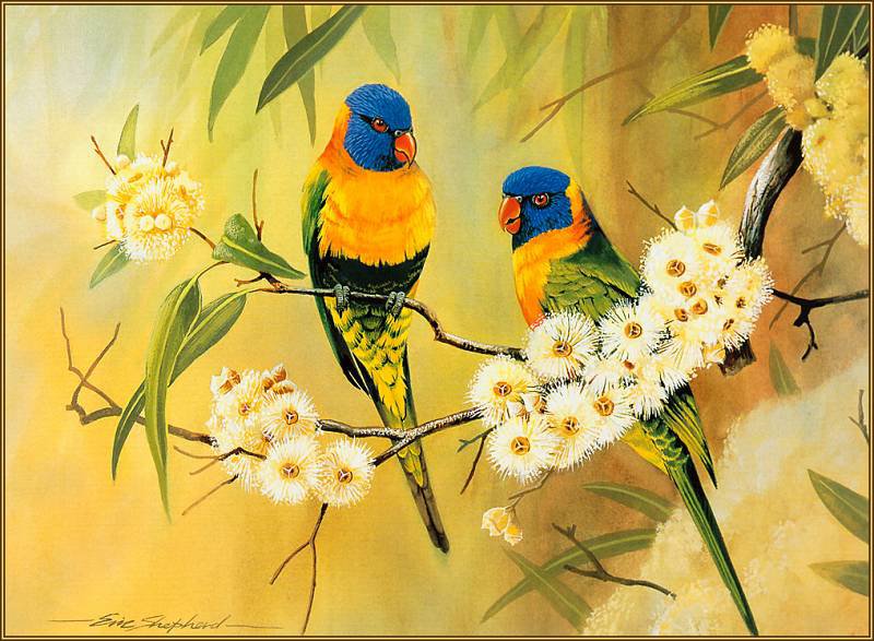 Серия "Птицы" - цветы, птицы, попугаи - оригинал
