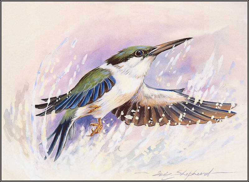 Серия "Птицы" - птицы, зима - оригинал