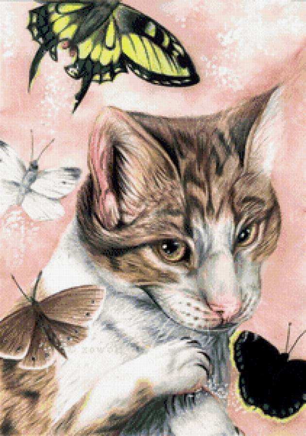 кот и бабочки - кошка, живопись, бабочка, взгляд, насекомое - предпросмотр