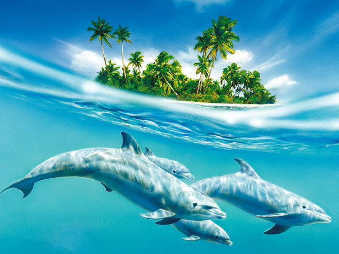 Дельфины - дельфины, море, волна - оригинал