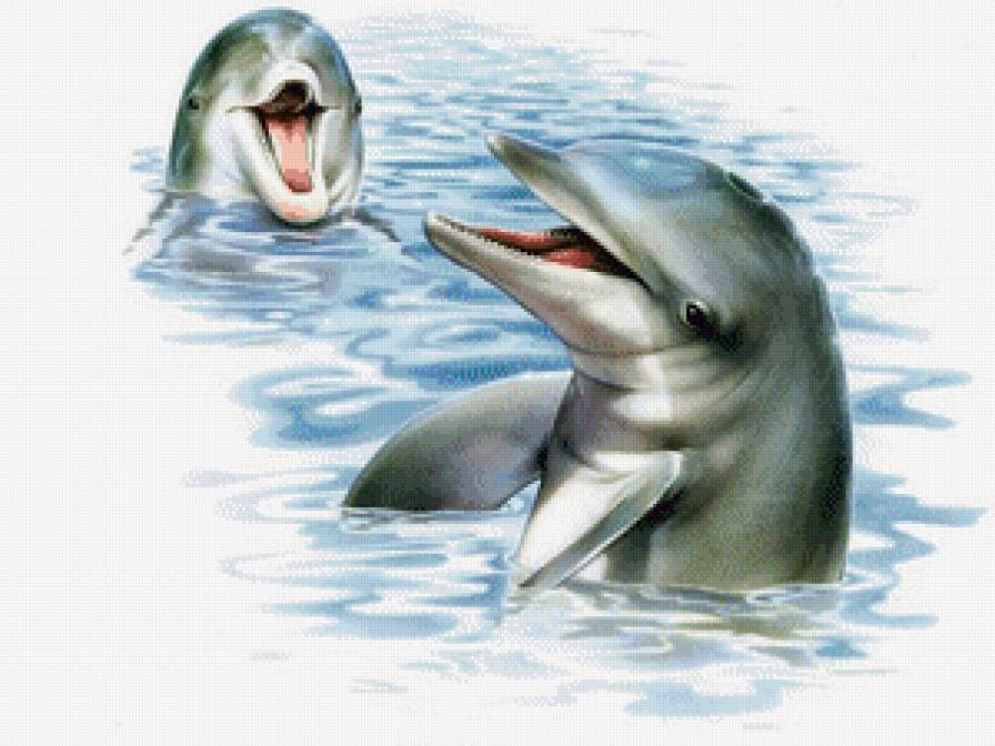 Дельфины - море, дельфины, волна - предпросмотр