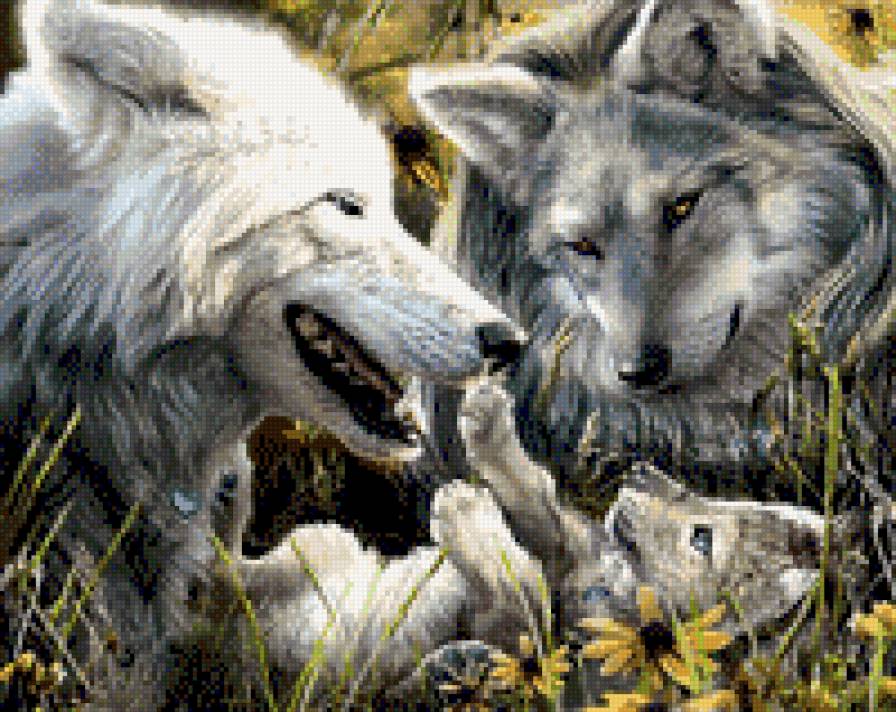 семья - животные, волки - предпросмотр