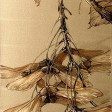Оригинал схемы вышивки «Ветка клёна. Семена.» (№479237)