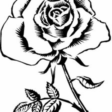 Схема вышивки «роза монохром»