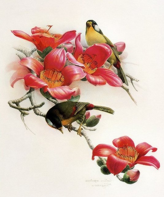 Птички на ветке с цветами. Зеркало-1. - птицы, цветы, ветка, зеркальные - оригинал
