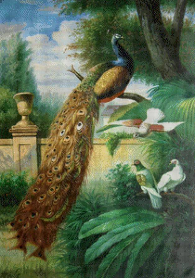 старинная картина - птицы, живопись, павлин, дерево, голубь, ваза, природа - предпросмотр