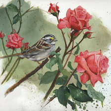 Оригинал схемы вышивки «птицы и цветы» (№479718)