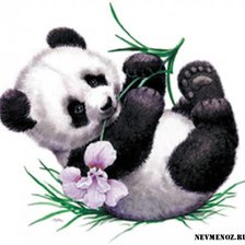 Оригинал схемы вышивки «Детеныш панды» (№480047)