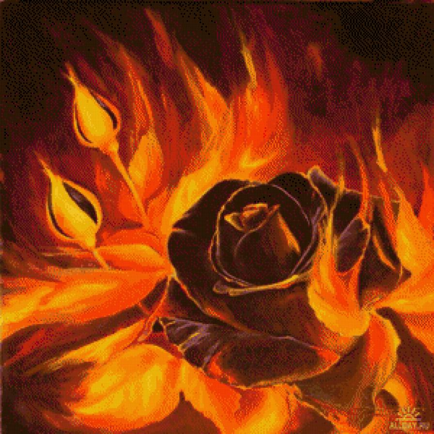 Огненная роза*5 - огонь, розы, роза - предпросмотр