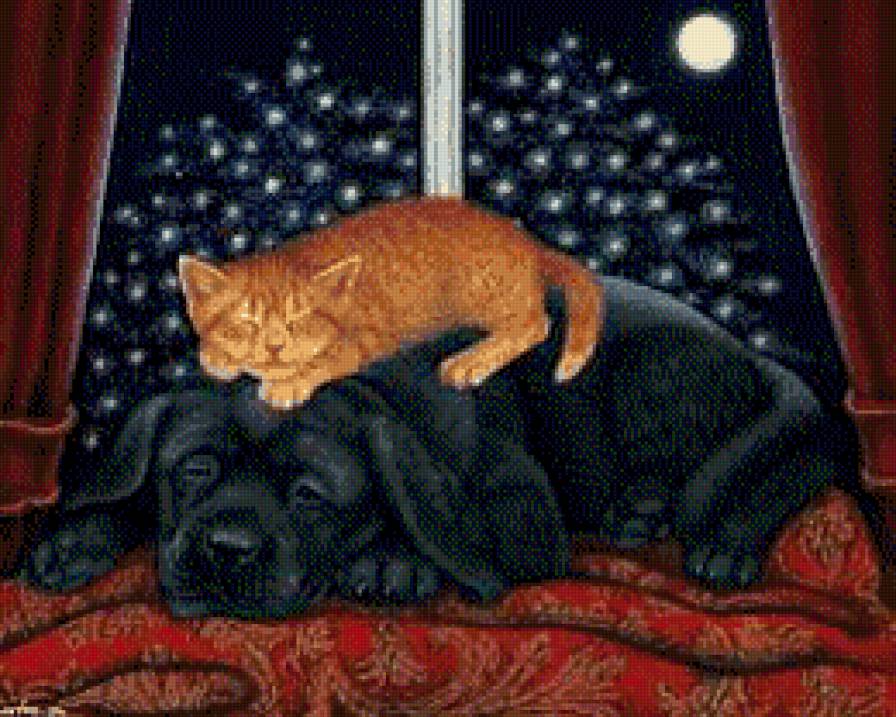спящая парочка - уют, собака, ночь, домашние животные, кошки, щенок - предпросмотр