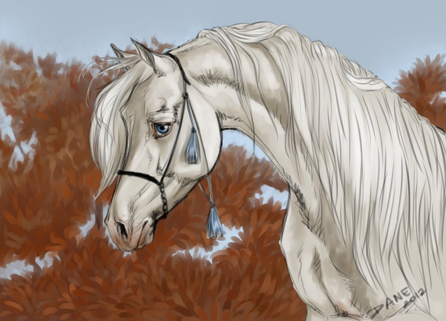 красивые лошади (подборка) - красиво, лошади, кони, домашние животные - оригинал