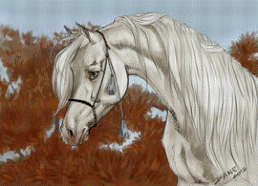 красивые лошади (подборка) - кони, красиво, домашние животные, лошади - предпросмотр