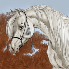 Оригинал схемы вышивки «красивые лошади (подборка)» (№480308)