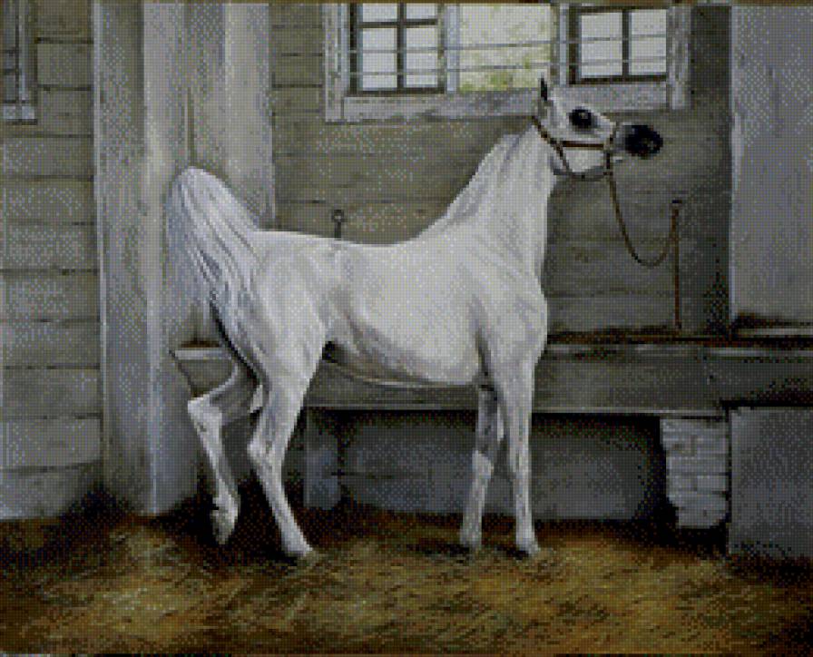 красивые лошади (подборка) - живопись, арабские лошади, домашние животные, красиво, кони - предпросмотр