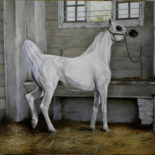 Оригинал схемы вышивки «красивые лошади (подборка)» (№480310)