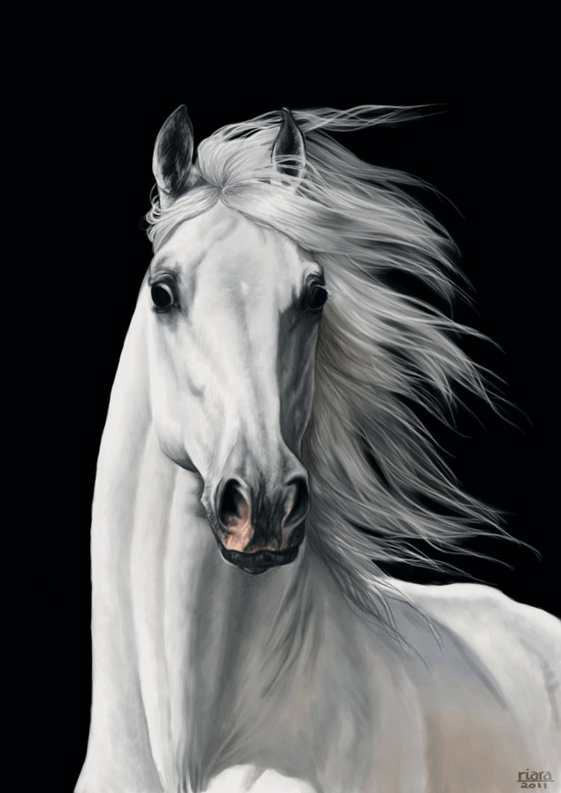 красивые лошади (подборка) - домашние животные, красиво, арабские лошади, кони, живопись - оригинал