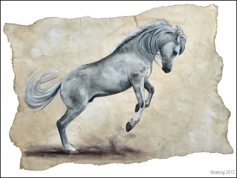 красивые лошади (подборка) - красиво, домашние животные, кони - оригинал