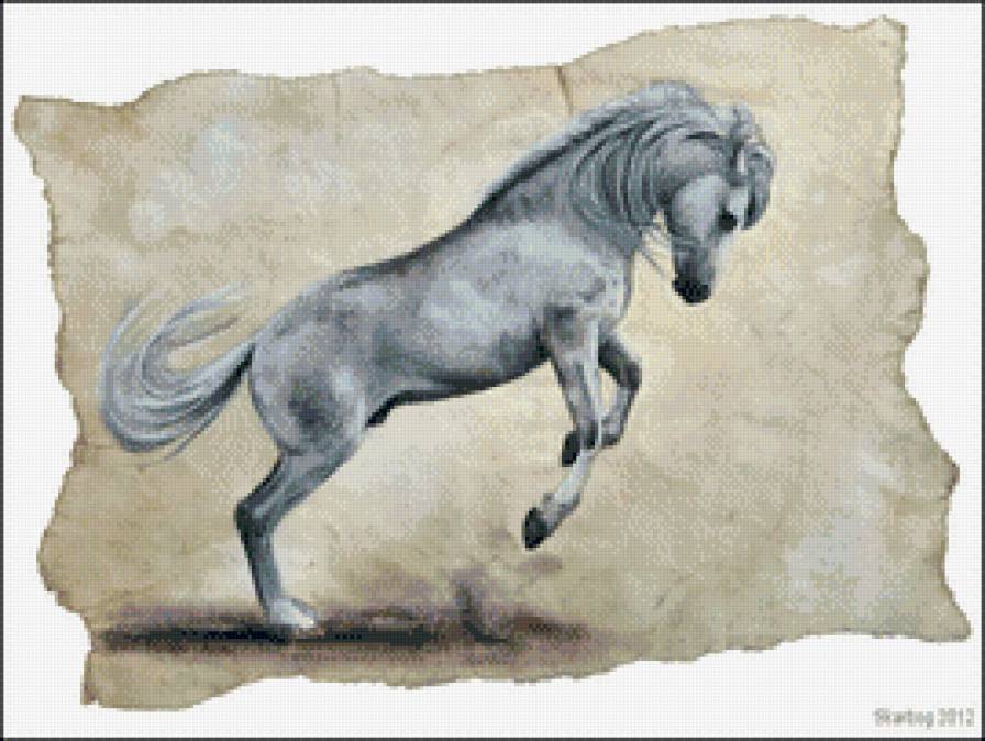 красивые лошади (подборка) - красиво, домашние животные, кони - предпросмотр