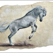 Оригинал схемы вышивки «красивые лошади (подборка)» (№480317)