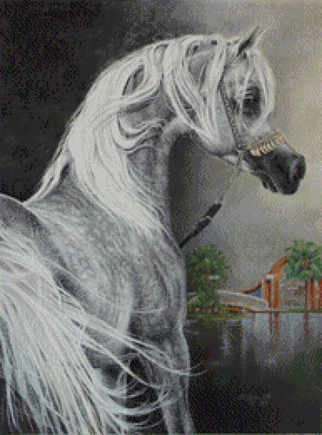 красивые лошади (подборка) - арабские лошади, живопись, красиво, кони, домашние животные - предпросмотр