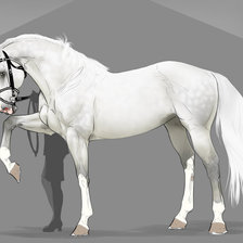 Оригинал схемы вышивки «красивые лошади (подборка)» (№480326)