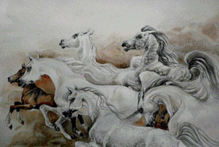 красивые лошади (подборка),бегущий табун лошадей - кони, арабские лошади, красиво, домашние животные, живопись - предпросмотр