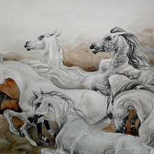 Оригинал схемы вышивки «красивые лошади (подборка),бегущий табун лошадей» (№480332)