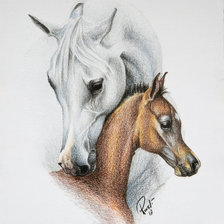 Оригинал схемы вышивки «красивые лошади (подборка)» (№480349)