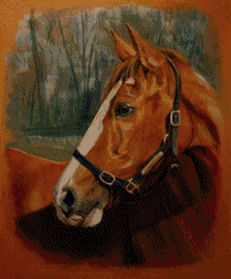 красивые лошади (подборка) - кони, домашние животные, красиво - предпросмотр