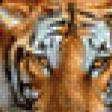 Предпросмотр схемы вышивки «Девушка с тигром» (№480445)
