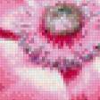 Предпросмотр схемы вышивки «Цветок в каплях» (№480519)