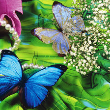 Оригинал схемы вышивки «бабочки» (№480652)