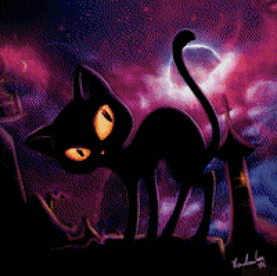 чёрный кот - кот - предпросмотр