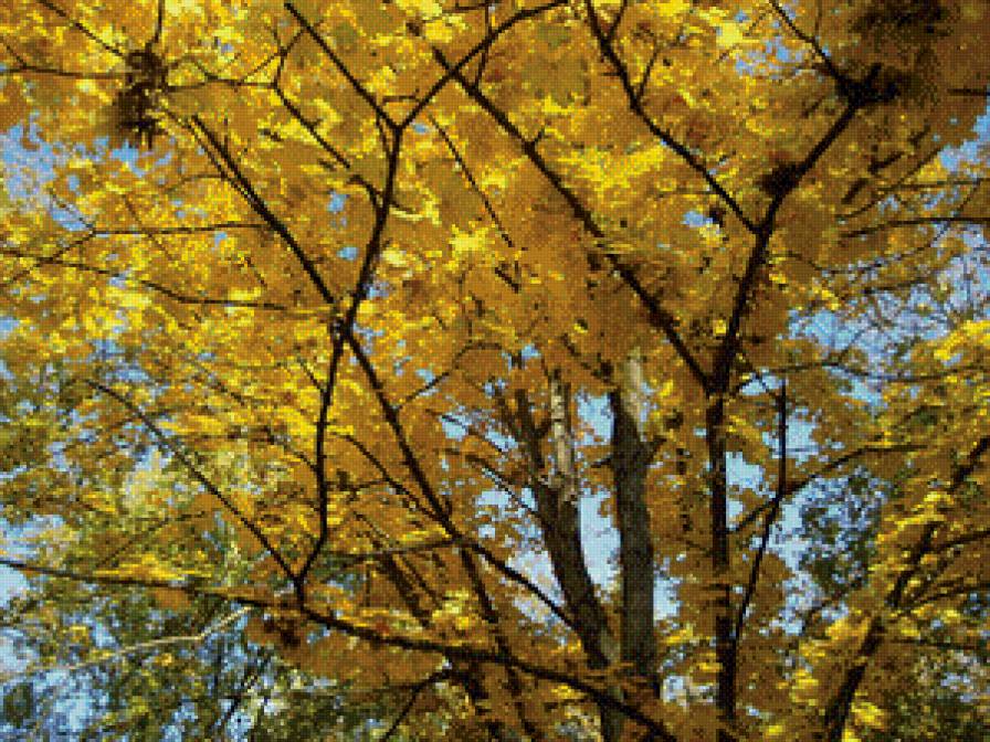 Осень - листья, осень, золотая осень - предпросмотр