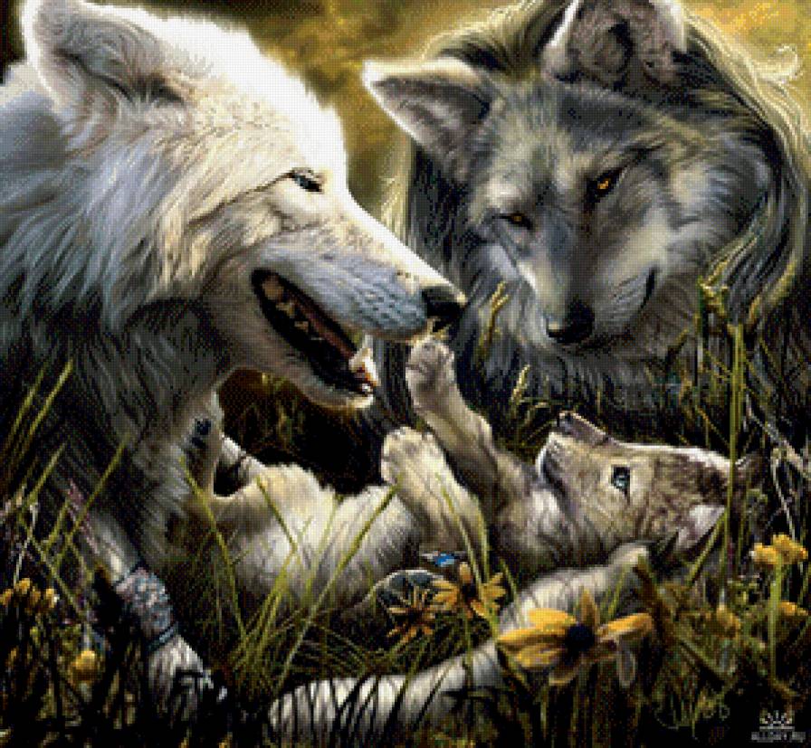 семья - волки, животные - предпросмотр
