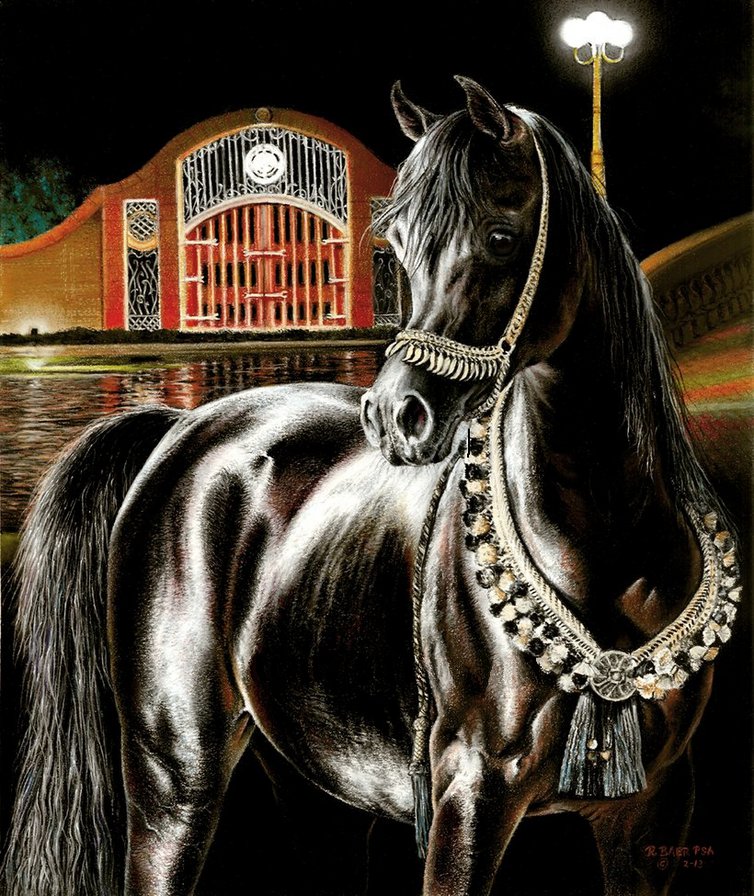 черный арабский жеребец - богато, арабские лошади, кони, красиво, домашние животные - оригинал