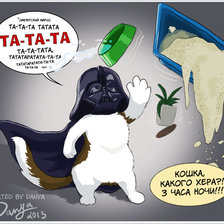 cat Star wars